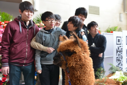 430和ZHOU对小明说 还是由你来变鸟吧！