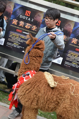 顺风局 小明9分钟就拿到了自己的草鞋！