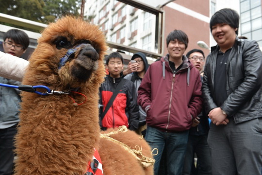 DOTA2发布会校园里的同学们也纷纷围观自己的偶像和神兽信使