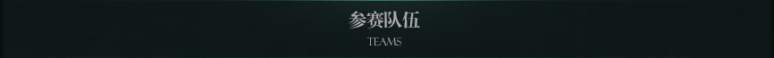参赛队伍